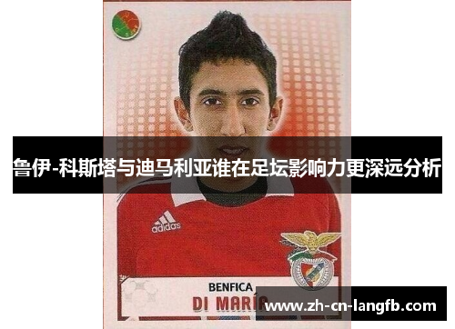 鲁伊-科斯塔与迪马利亚谁在足坛影响力更深远分析 鲁伊-科斯塔与迪马利亚谁在足坛影响力更深远分析