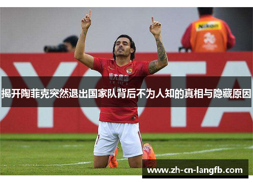 揭开陶菲克突然退出国家队背后不为人知的真相与隐藏原因 揭开陶菲克突然退出国家队背后不为人知的真相与隐藏原因