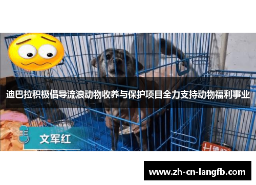迪巴拉积极倡导流浪动物收养与保护项目全力支持动物福利事业 迪巴拉积极倡导流浪动物收养与保护项目全力支持动物福利事业