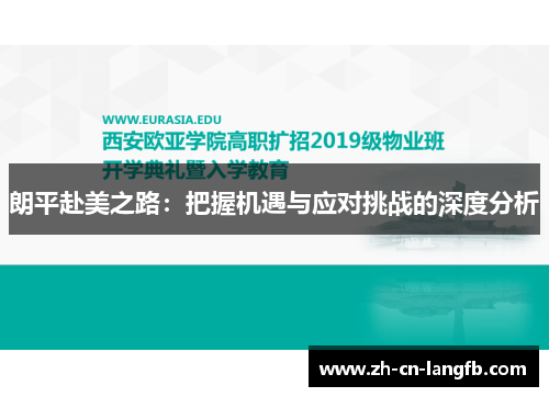 朗平赴美之路:把握机遇与应对挑战的深度分析 朗平赴美之路:把握机遇与应对挑战的深度分析