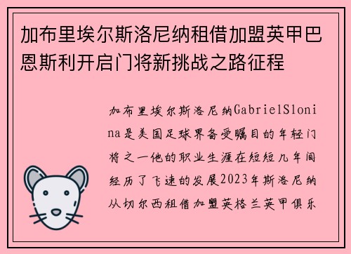 加布里埃尔斯洛尼纳租借加盟英甲巴恩斯利开启门将新挑战之路征程 加布里埃尔斯洛尼纳租借加盟英甲巴恩斯利开启门将新挑战之路征程